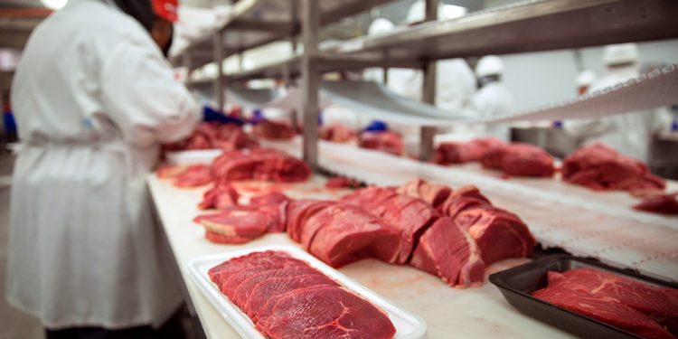 Potencial, desafíos y encrucijada: La industria cárnica en Uruguay