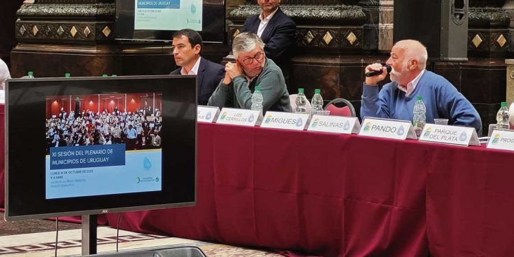 ¿Los gobiernos municipales pueden contribuir a la seguridad?