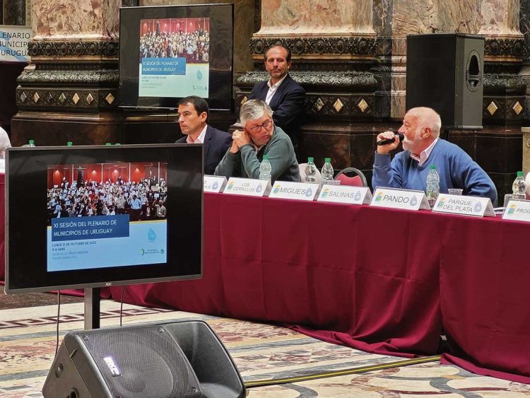 ¿Los gobiernos municipales pueden contribuir a la seguridad?