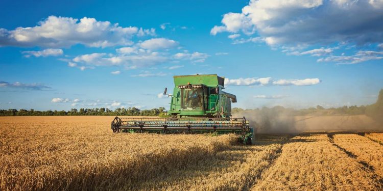 El futuro de los sistemas agrícola-ganaderos