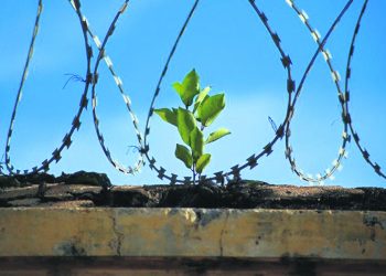 Lo impostergable: un pacto contra la inseguridad