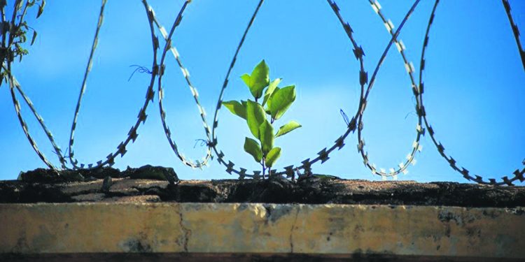 Lo impostergable: un pacto contra la inseguridad