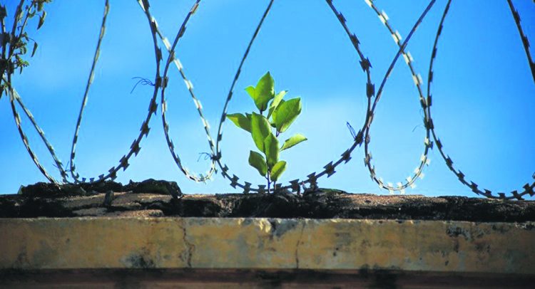 Lo impostergable: un pacto contra la inseguridad