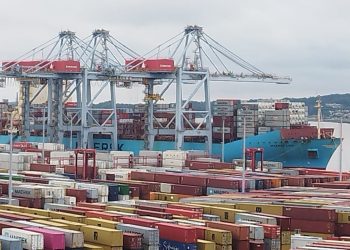 En el año las exportaciones lácteas bajaron 7%
