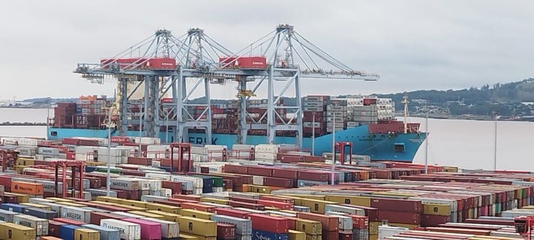 En el año las exportaciones lácteas bajaron 7%