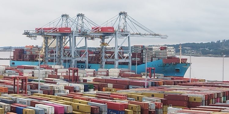 En el año las exportaciones lácteas bajaron 7%