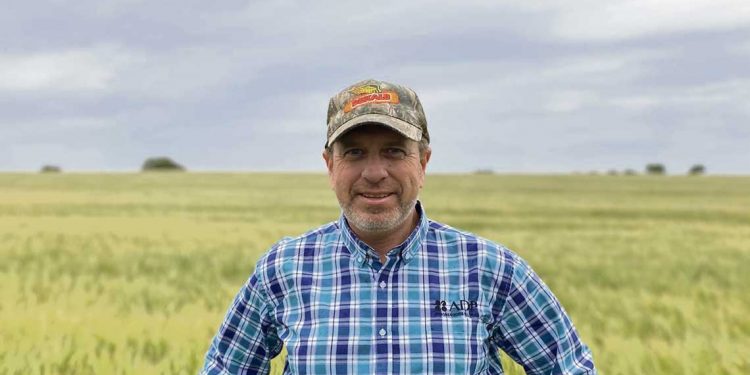 “El trigo es una pieza esencial y fundamental en el funcionamiento de la economía y la agropecuaria”