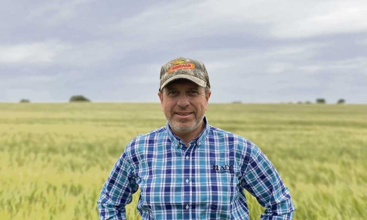 “El trigo es una pieza esencial y fundamental en el funcionamiento de la economía y la agropecuaria”