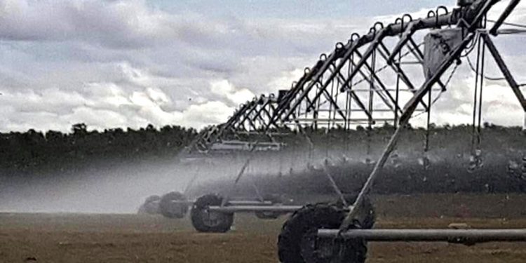 Zavala: “Los productores tenemos la convicción de que el riego es una tecnología que tenemos que usar”