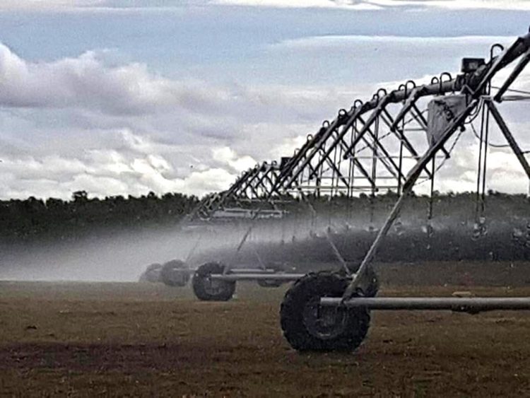 Zavala: “Los productores tenemos la convicción de que el riego es una tecnología que tenemos que usar”