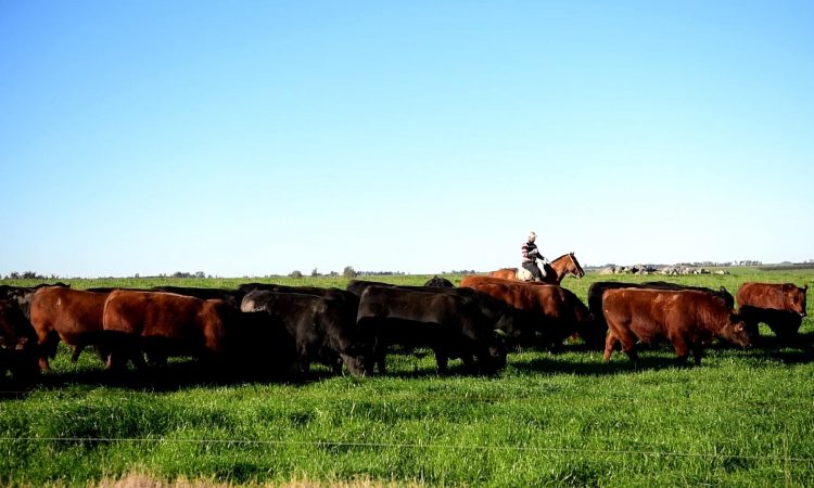 “La conciencia agropecuaria es un trabajo permanente y de todos los días”