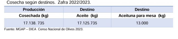 La sequía no frenó la producción de aceitunas que se aproximó al récord de la zafra 2018/2019