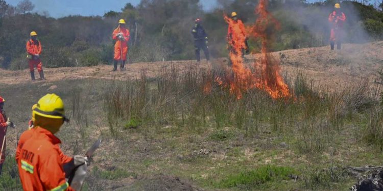 Bomberos recomienda extremar medidas para evitar incendios este verano