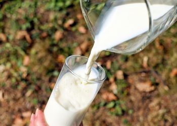 Cada día, los tambos uruguayos remitieron 5,72 millones de litros de leche