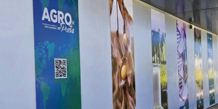 Agro en Punta, una feria disruptiva que ofrece otra forma de hacer negocios