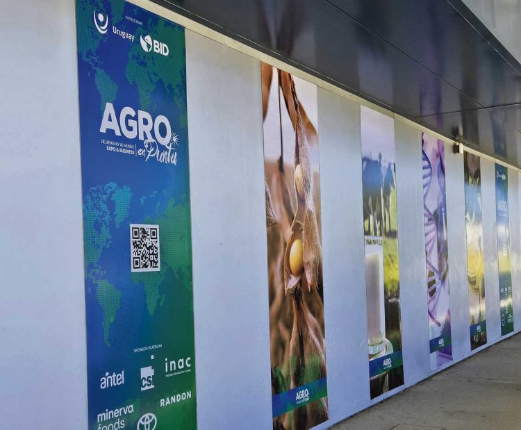 Agro en Punta, una feria disruptiva que ofrece otra forma de hacer negocios