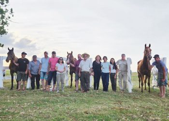 “Los caballos son los que sacan adelante las actividades” culturales de las pequeñas localidades