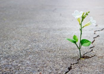 El rescate de la esperanza