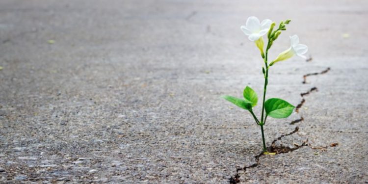 El rescate de la esperanza