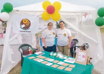 Proyecto Girasoles Paysandú, una innovadora propuesta educativa que enseña jugando