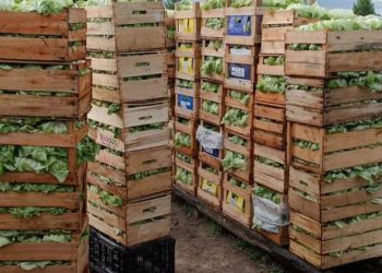 Se extendió por 90 días emergencia agropecuaria para la hortifruticultura