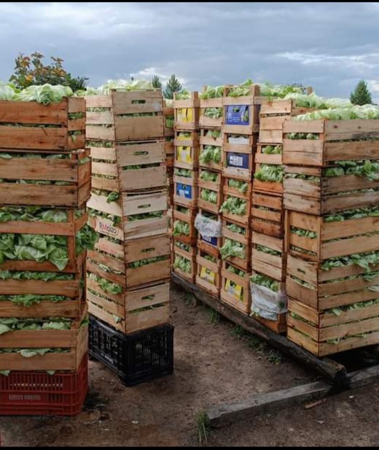 Se extendió por 90 días emergencia agropecuaria para la hortifruticultura