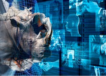 Con baja seguridad la libertad es relativa