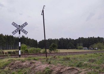En Piedras Coloradas sigue habiendo campos forestados casi pegados a las casas