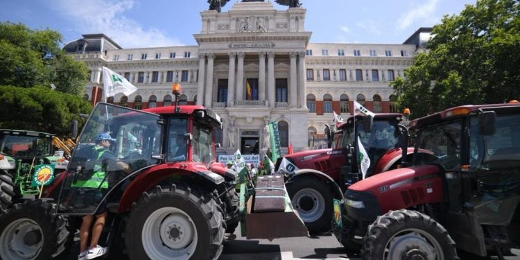 Agricultores europeos se movilizan en varios países