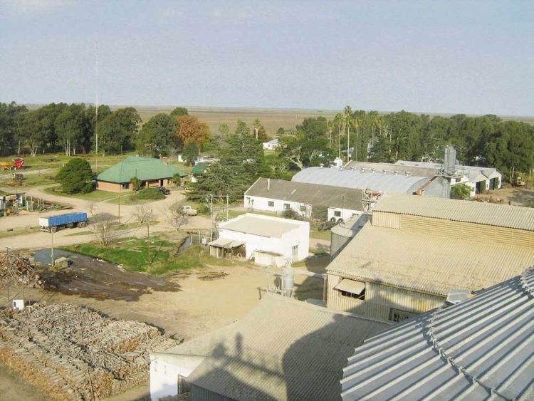 Noventa años de Arrozal 33: el pueblo que nació del arrozal