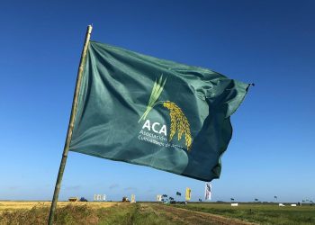 El 8 de marzo será la inauguración de la cosecha de arroz