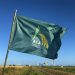 El 8 de marzo será la inauguración de la cosecha de arroz