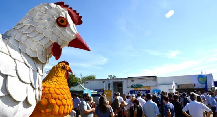 La 12ª Expo Avícola finalizó con evaluaciones positivas y en crecimiento