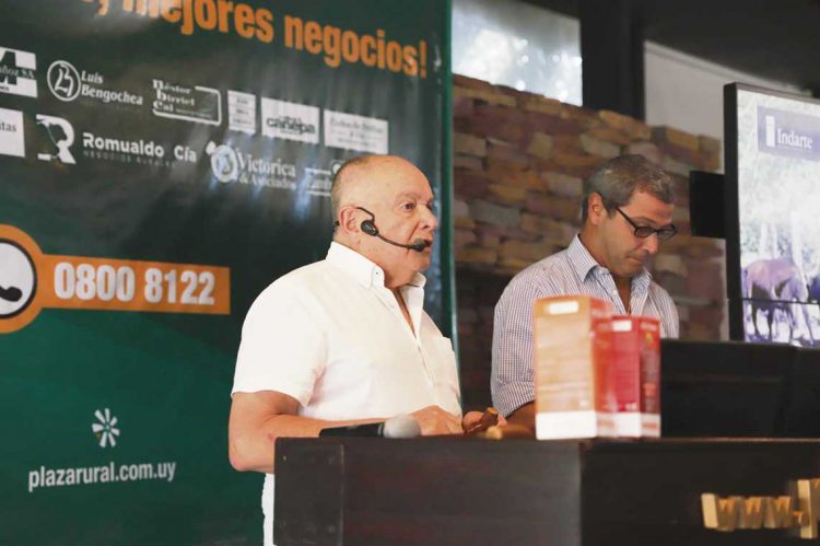 Agro: un año para recomponer cuentas