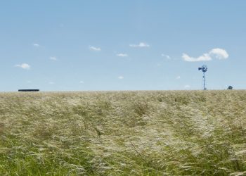 Larzábal: “Proteger el campo natural no es quitarle derechos a nadie”