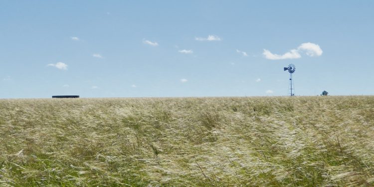 Larzábal: “Proteger el campo natural no es quitarle derechos a nadie”