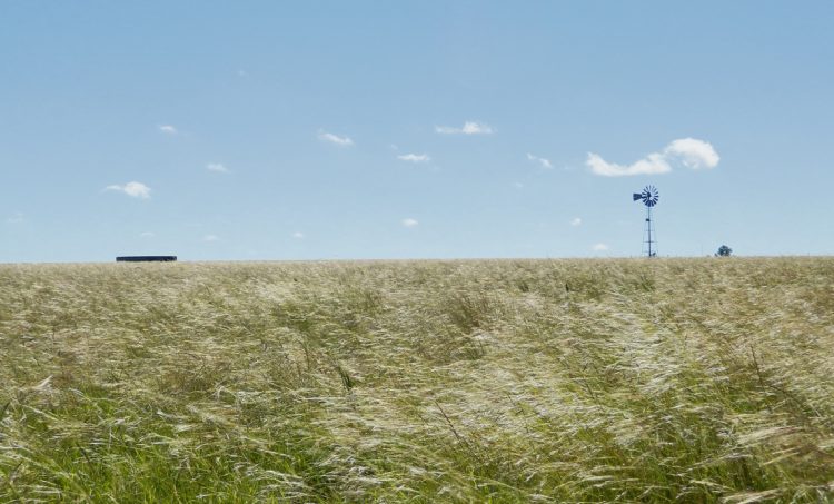 Larzábal: “Proteger el campo natural no es quitarle derechos a nadie”