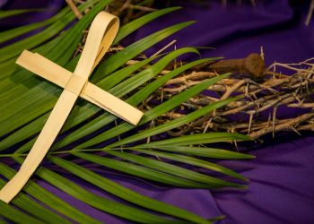 En busca del rostro humano