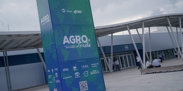 Bilinkis: “Como todo cambio, la inteligencia es una amenaza pero también una oportunidad”.