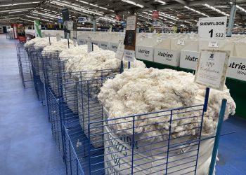 En lo que va del año, la lana subió una sola vez y bajó cuatro