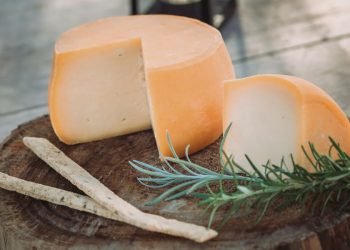 “La quesería artesanal reúne las exigencias que busca el consumidor final”