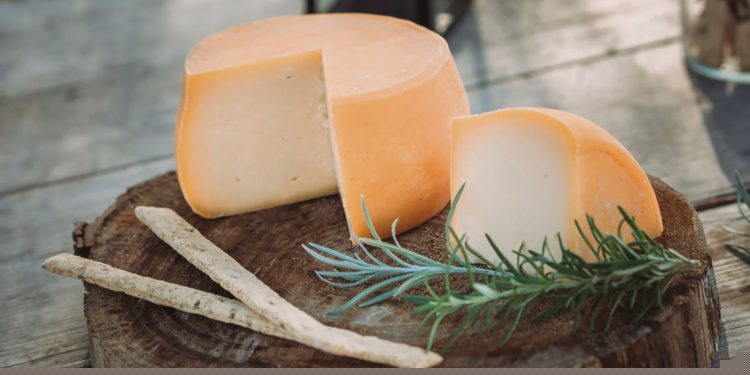 “La quesería artesanal reúne las exigencias que busca el consumidor final”
