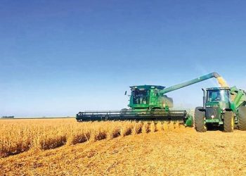 “Todo lo que el agricultor necesita para vivir es en pesos y se debe pagar con cada vez más dólares”