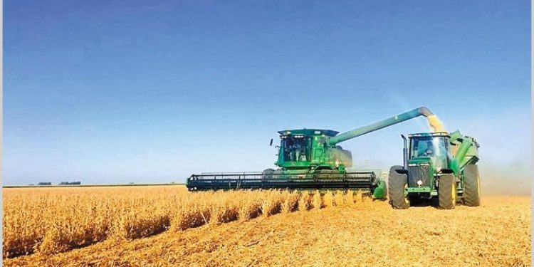 “Todo lo que el agricultor necesita para vivir es en pesos y se debe pagar con cada vez más dólares”