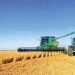 “Todo lo que el agricultor necesita para vivir es en pesos y se debe pagar con cada vez más dólares”