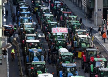 El cansancio de las clases medias frente al establishment progresista