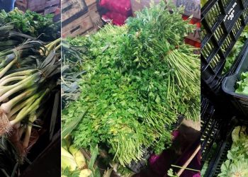 Ola de calor afectó seriamente la producción granjera