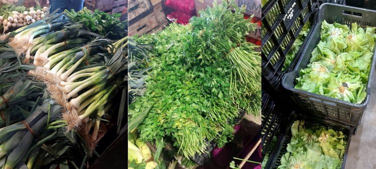 Ola de calor afectó seriamente la producción granjera