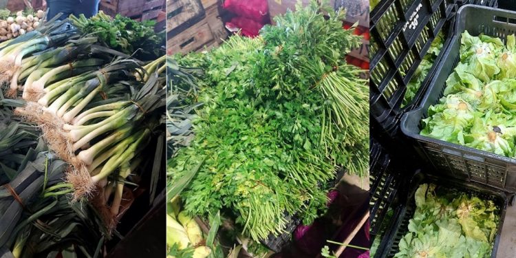 Ola de calor afectó seriamente la producción granjera