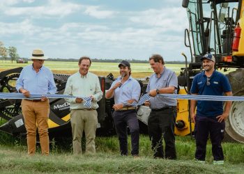 Arroz: una nueva cosecha en marcha